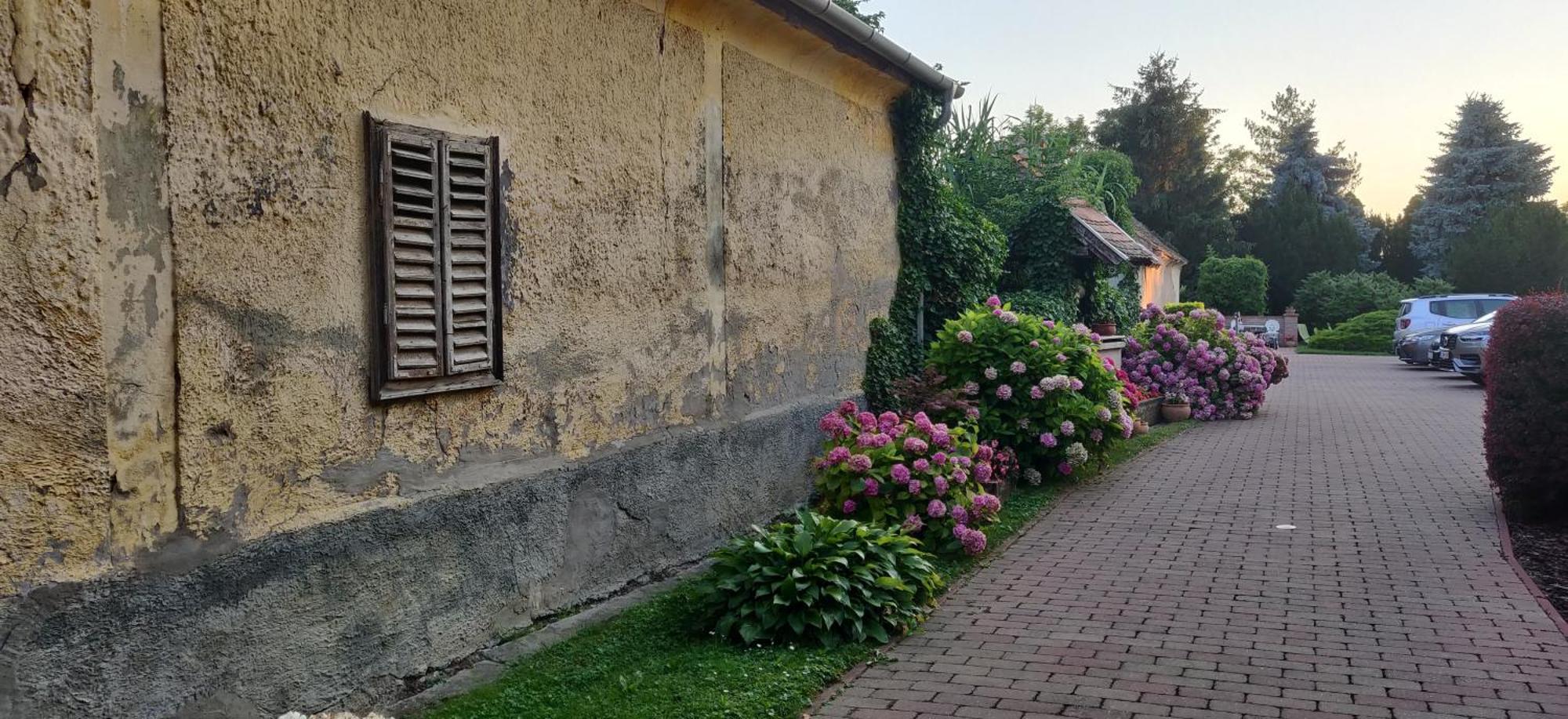 Korona Panzio Bed and Breakfast Balatonberény Εξωτερικό φωτογραφία