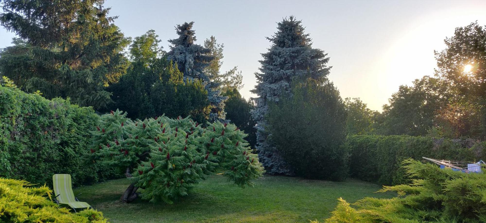 Korona Panzio Bed and Breakfast Balatonberény Εξωτερικό φωτογραφία