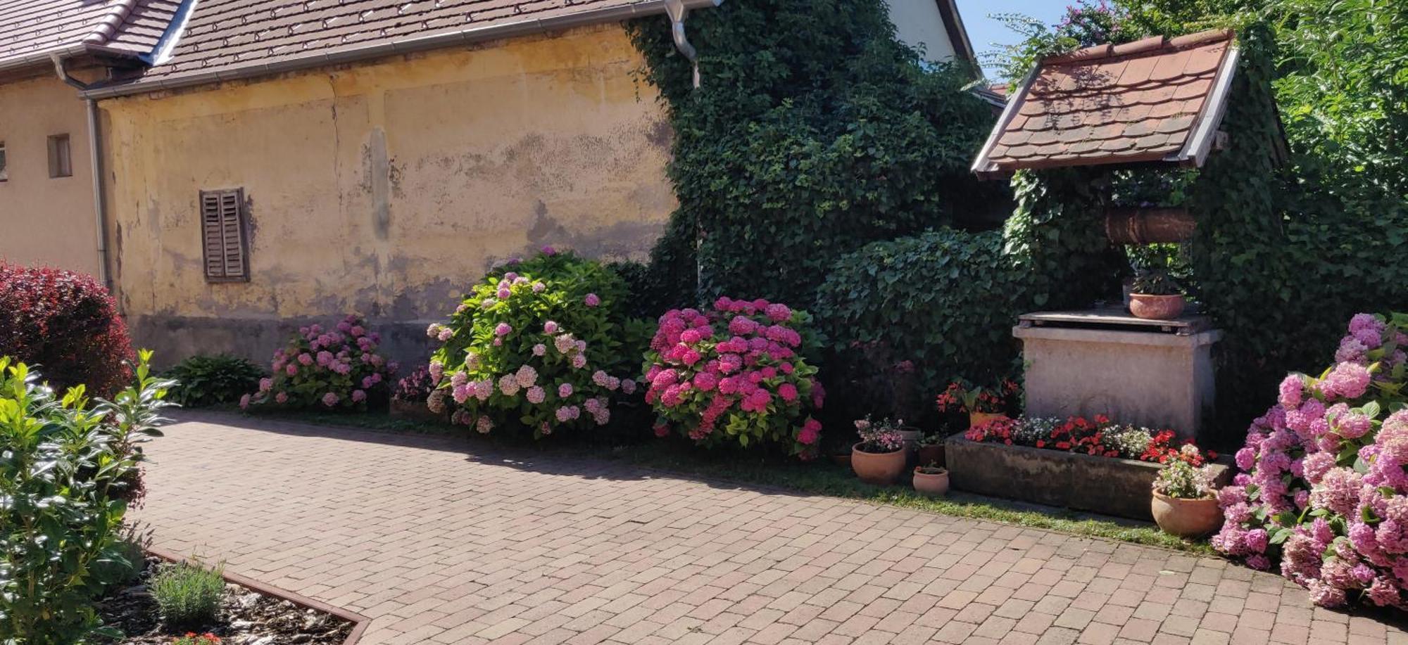 Korona Panzio Bed and Breakfast Balatonberény Εξωτερικό φωτογραφία